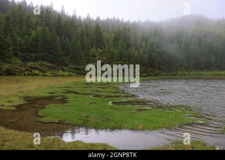 Lagoa Rasa, Isola di Sao Miguel, Azzorre Foto Stock