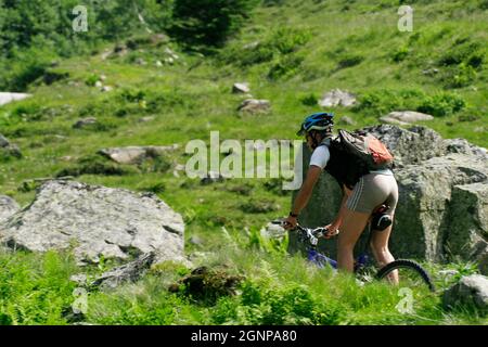 Moutainbiker nelle Alpi, Austria Foto Stock