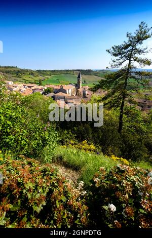 Paesaggio e villaggio Lautrec, Tarn, Francia Foto Stock