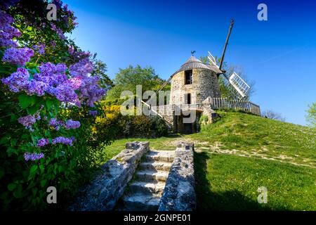 Mulino a vento la Sallette e fiori primaverili, Tarn, Francia Foto Stock