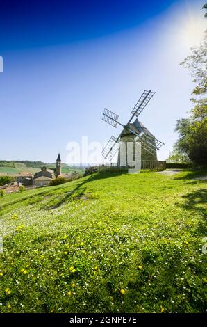 Mulino a vento la Sallette e villaggio di Lautrec, Tarn, Francia Foto Stock