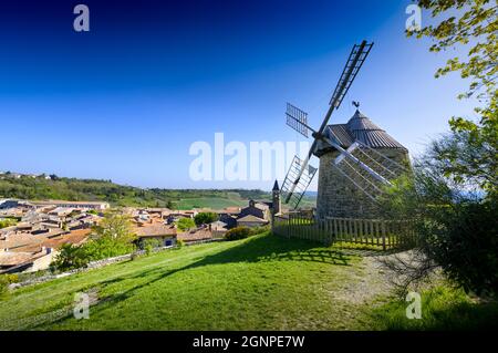 Mulino a vento la Sallette e villaggio di Lautrec, Tarn, Francia Foto Stock