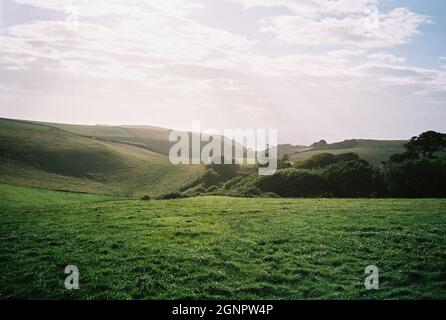 Hope, Cove, Devon, Inghilterra, Regno Unito. Foto Stock