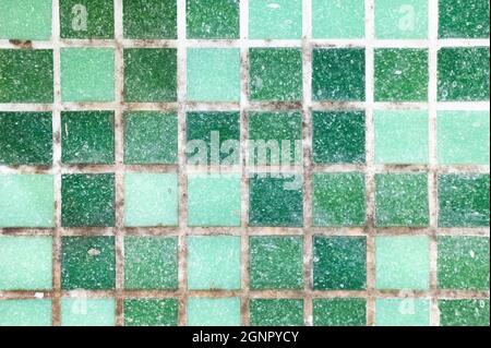 forgi su giunti tra le piastrelle di ceramica in bagno. vecchio nero sporco di muffa tossica sulle cuciture bianche delle piastrelle di mosaico verde prima della pulizia. muffa sporca Foto Stock