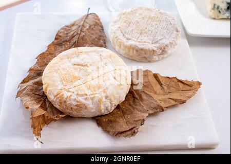 Raccolta di formaggi, semi-duro francese blu roquefort formaggio roquefort da Roquefort-sur-Soulzon, Francia, servito con vino bianco dolce freddo francese, primo piano Foto Stock