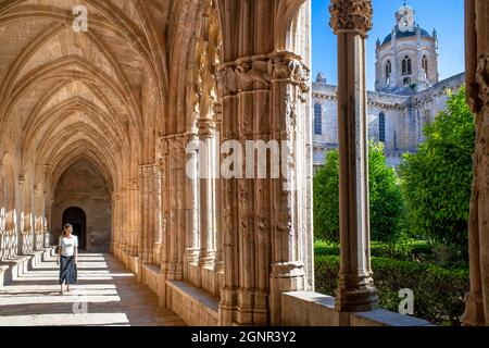 Chiostro di Monestir de Santa Maria de Santes Creus, abbazia cistercense, monastero, chiesa, Santes Creus, Aiguamurcia Tarragona, Catalogna, Spagna, Europ Foto Stock