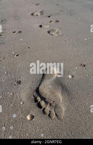 Impronte di piedi nella sabbia lungo la spiaggia. Emirati Arabi Uniti. Foto Stock