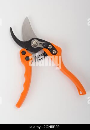 Giardino arancione secateurs isolato su sfondo bianco Foto Stock