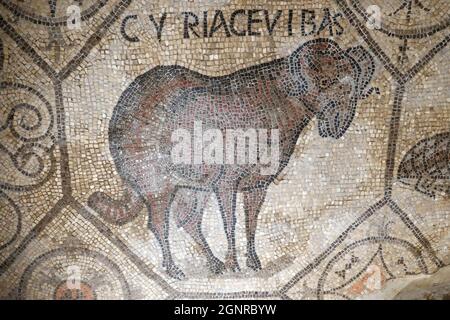 Basilica patriarcale di Aquileia. Pavimento a mosaico con simbolismo cristiano, IV secolo. Italia. Foto Stock
