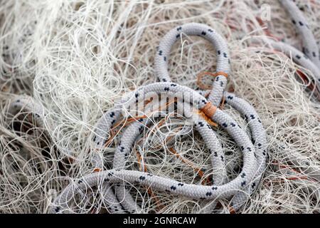 Rete da pesca. Reti da pesca e industria della pesca. Italia. Foto Stock
