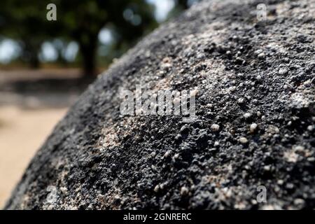 Il Cromlech degli Almendres è un complesso megalitico. È uno dei più grandi gruppi esistenti di menhir strutturati in Europa. Portogallo. Foto Stock