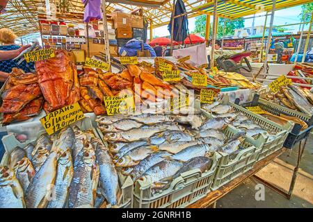 Varietà di diversi pesci affumicati e salati sul bancone della piccola stalla nel mercato Pryvoz, Odessa, Ucraina Foto Stock