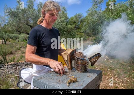 Apicoltore o agricoltore di miele a Murià El Perelló, Tarragona, Spagna. Apicoltori e api melliere sull'alveare, Catalogna, Spagna. Sei generazioni di apicoltore Foto Stock