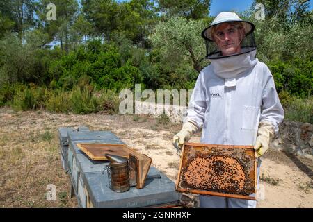 Apicoltore o agricoltore di miele a Murià El Perelló, Tarragona, Spagna. Apicoltori e api melliere sull'alveare, Catalogna, Spagna. Sei generazioni di apicoltore Foto Stock