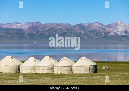 Il Kirghizistan si yurts sulla riva del lago di montagna Foto Stock
