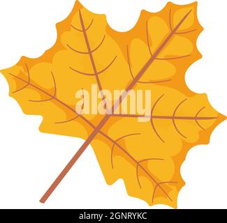 Autunno foglia oggetto clapart. Icona di betulla e quercia Illustrazione Vettoriale