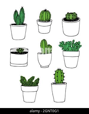 Set vettoriale disegnato a mano Cactus, raccolta di piante isolata su sfondo bianco Illustrazione Vettoriale