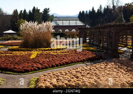 I giardini murati della tenuta Biltmore durante l'autunno ad Asheville, Carolina del Nord. La casa, di proprietà privata della famiglia Vanderbilt, è la più grande casa in America con oltre 250 camere. Foto Stock