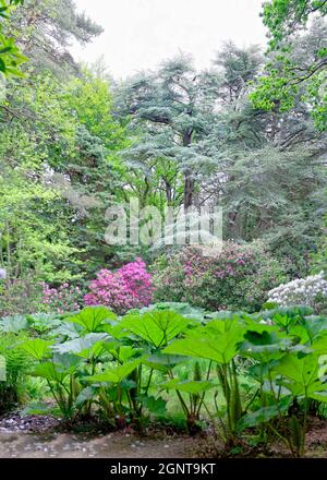 Francia, Seine-Maritime (76), Varengeville-sur-Mer, le manoir du domaine le Bois des Moutiers, parc et jardin // Francia, Seine-Maritime (76), Varengevi Foto Stock