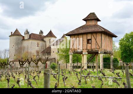 Francia, Lot (46), Caillac, le Château Lagrézette où est produit un vin de Cahors et son pigeonnier // Francia, Lot, Caillac, Lagrezette castello dove a Foto Stock