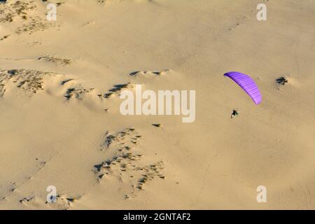 Francia, Gironde (33), bassin d'Arcachon, la teste-de-Buch, la dune du Pyla et la réserve naturelle du Banc d'Arguin // Francia, Gironde, Bassin d'Arcac Foto Stock