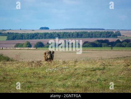 Esercito britannico GCC soldati di fanteria su una scheda di prova di addestramento di combattimento 4km che trasporta 40kg attraverso Salisbury Plain Wiltshire Regno Unito Foto Stock
