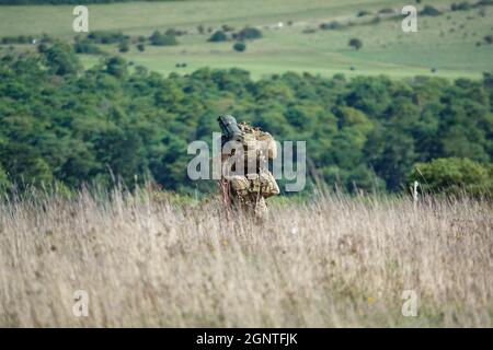 Esercito britannico GCC soldati di fanteria su una scheda di prova di addestramento di combattimento 4km che trasporta 40kg attraverso Salisbury Plain Wiltshire Regno Unito Foto Stock