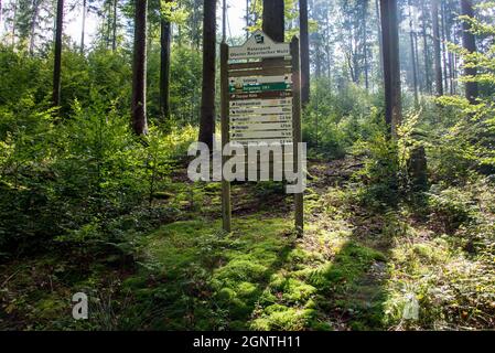 Un dettagliato cartello sul sentiero Goldsteig nel mezzo di una foresta bavarese. Foto Stock