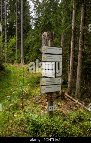 Segnaletica, dove il sentiero Goldsteig si divide in un percorso Nord e Sud per Passau Foto Stock