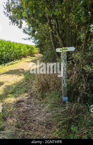 Indicatore del sentiero Goldsteig nei pressi di un campo in Baviera Foto Stock