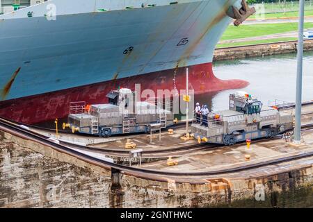 GATUN, PANAMA - 29 MAGGIO 2016: Locomotive elettriche, conosciute come muli che guidano una nave del contenitore attraverso le serrature di Gatun, parte del canale di Panama. Foto Stock