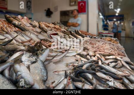 Mercato del pesce fresco con uomo venditore blurred, Turchia Foto Stock