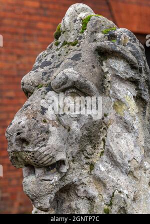 antica scultura in pietra di stile classico di un leone per l'uso in un giardino come decorazione. statuario giardino leone in pietra ricoperta di muschio in stile antico. Foto Stock