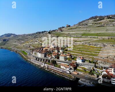 Saint-Saphorin, Lavaux, Lac Léman Foto Stock