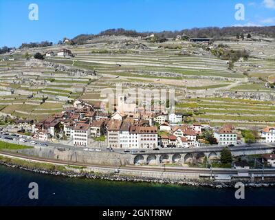 Saint-Saphorin, Lavaux, Lac Léman Foto Stock