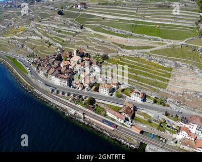 Saint-Saphorin, Lavaux, Lac Léman Foto Stock