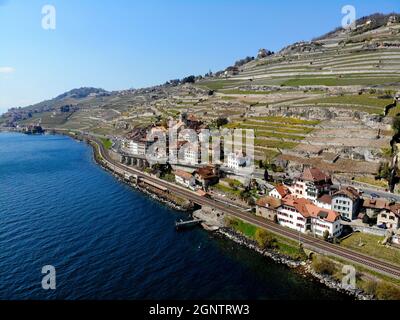 Saint-Saphorin, Lavaux, Lac Léman Foto Stock