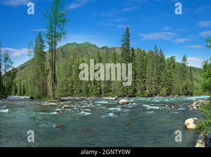 Geografia, potamologia. Siberia centrale (parte sud). Panorama di fiumi potenti e foreste di taiga, estate, tipica orografia coniforme collinare (picco calvo Foto Stock