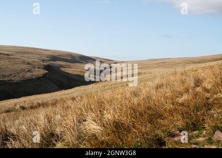 Sentiero pedonale Corn Du Brecon Beacons lungo il Beacons Way Wales UK Bannau Brycheiniog National Park Foto Stock