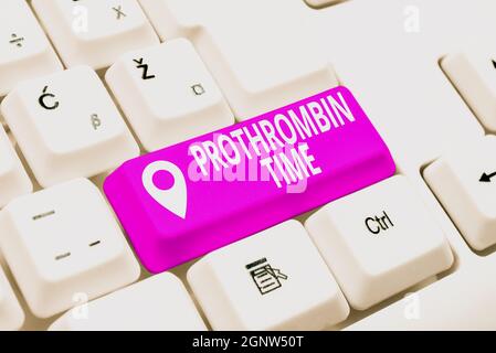 Didascalia concettuale tempo di protrombina. Approccio aziendale valutare la vostra capacità di formare adeguatamente coaguli di sangue creando nuovo Online Shop Business Foto Stock