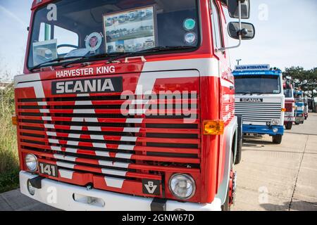 Griffin Gathering, Ipswich 2014 Scania, veicoli HGV d'epoca Foto Stock