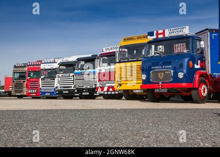 Griffin Gathering, Ipswich 2014 Scania, veicoli HGV d'epoca Foto Stock