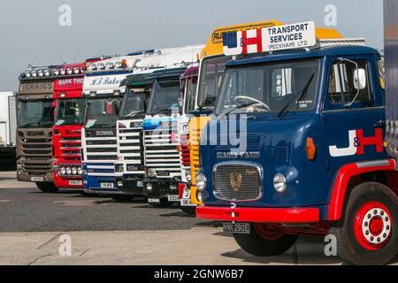 Griffin Gathering, Ipswich 2014 Scania, veicoli HGV d'epoca Foto Stock