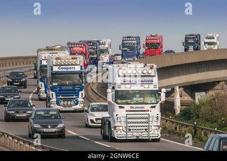 Griffin Gathering, Ipswich 2014Scania, veicoli HGV d'epoca sul ponte Orwell Suffolk, Regno Unito Foto Stock