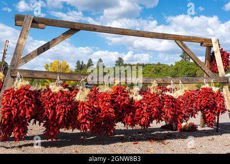 Ristras del Cile rosso in vendita, appeso a una griglia di essiccazione, una struttura in legno utilizzata anche in un'esposizione a Chama, New Mexico, USA. Foto Stock