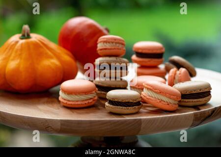 Dessert per Halloween. Menu di ringraziamento. Macaron di pasticceria francese. Torta di macaroni con cioccolato e mascarpone su un supporto di legno con zucche Foto Stock