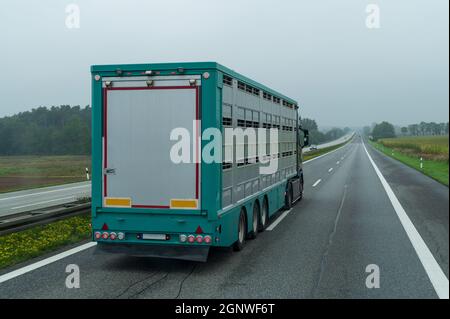 Un autocarro per bestiame su un'autostrada tedesca Foto Stock