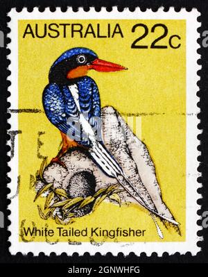 AUSTRALIA - CIRCA 1980: Un francobollo stampato in Australia mostra Kingfisher a coda bianca, Tanysiptera Sylvia, Bird, circa 1980 Foto Stock