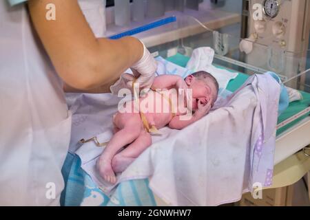 Un neonato viene esaminato da un medico dopo il parto. Controllare il bambino dopo la nascita sulla scala Apgar. Foto Stock