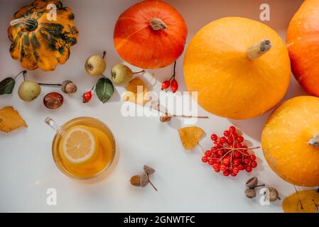 Composizione autunnale accogliente con una tazza di tè caldo al limone, zucche e ghiande, Thanksgiving e Halloween creativa layout Foto Stock